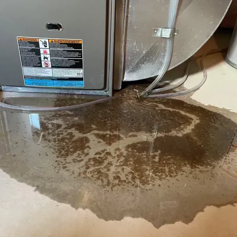 Appliance Leak Cleanup in Stone Mountain, GA